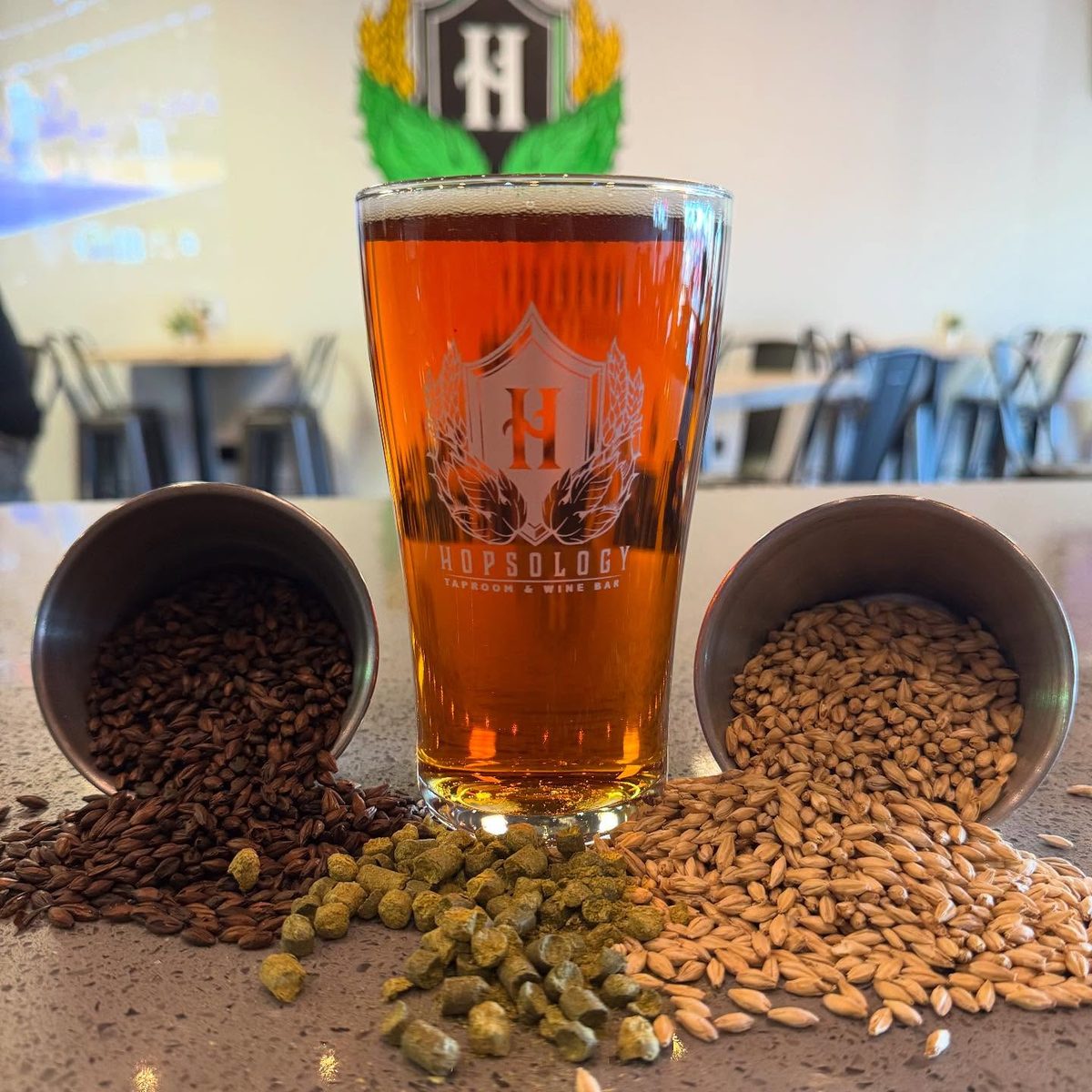 Fresh hops and malted barley beside a Hopsology pint