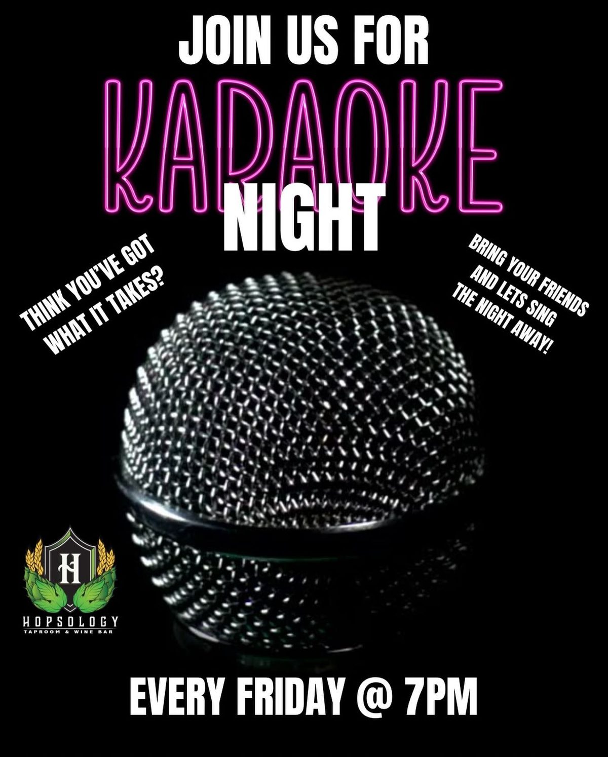 Karaoke night at Hopsology